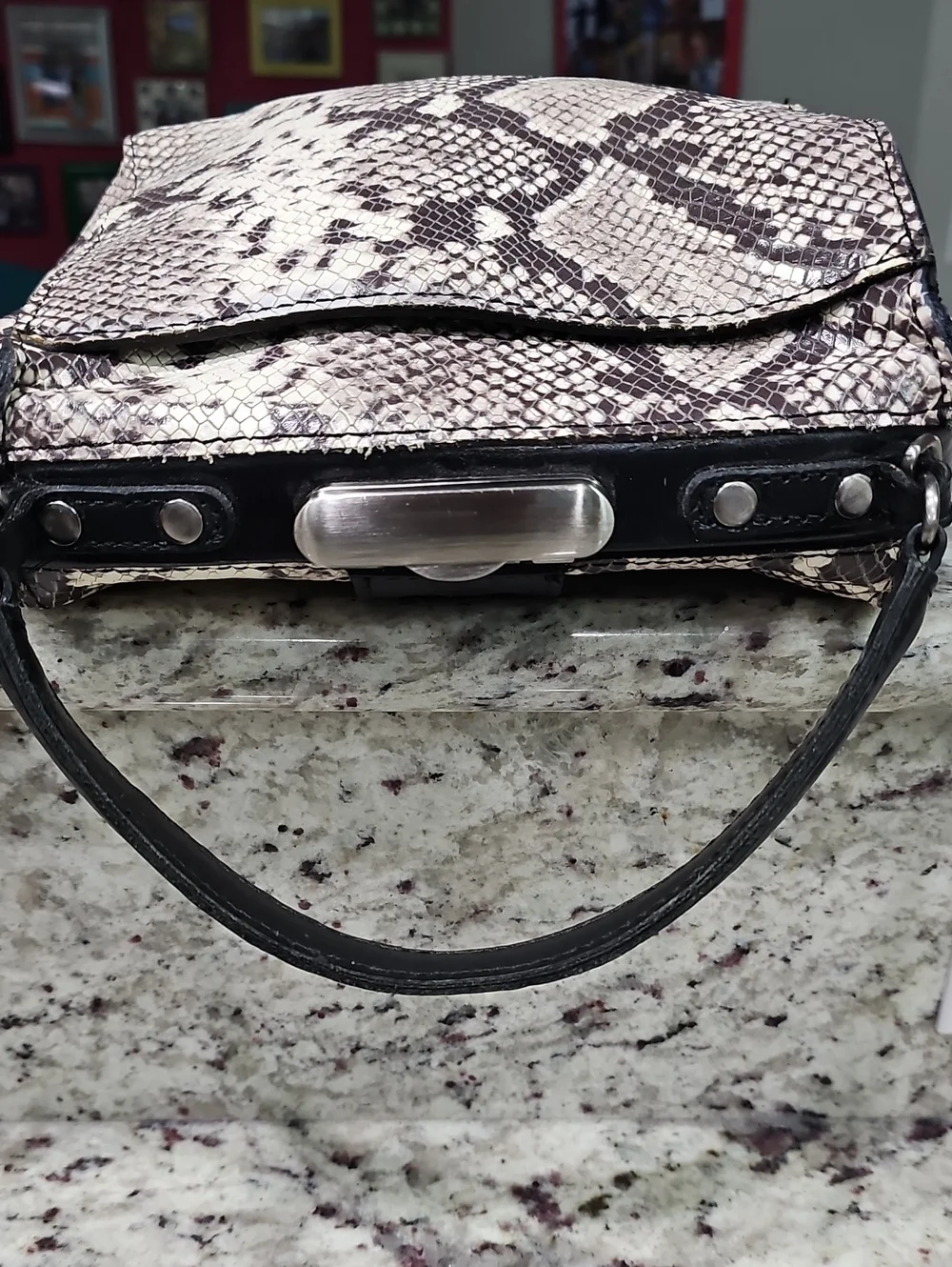 Patricia Nash Nela Frame Satchel - Python